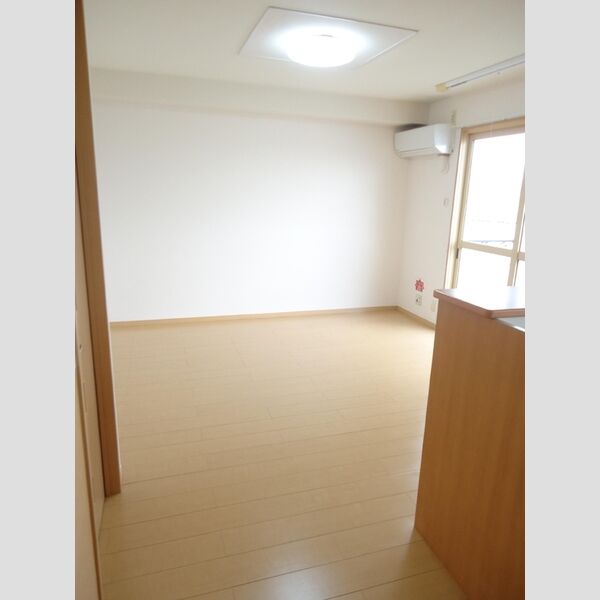 居室・リビング (LDK11.3帖(エアコン・室内物干付))