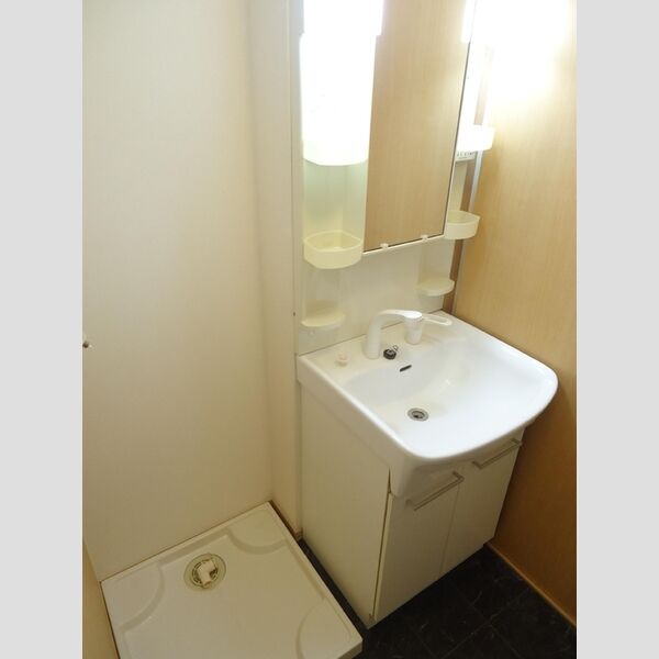 洗面所 (洗面所(洗髪洗面化粧台))