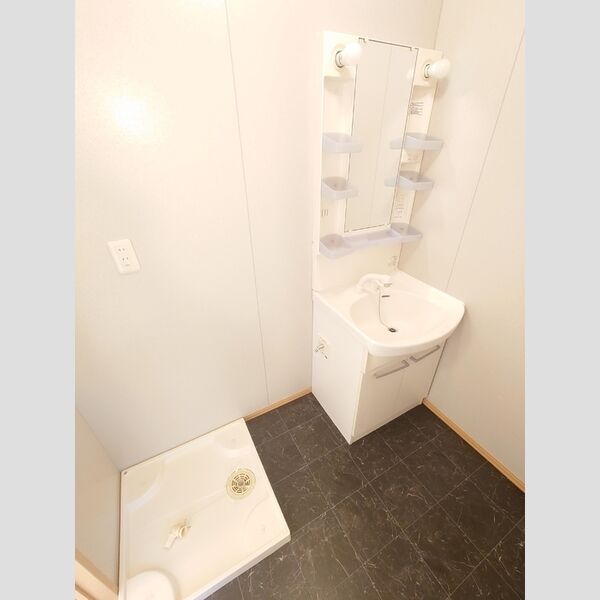 洗面所 (洗髪洗面化粧台)