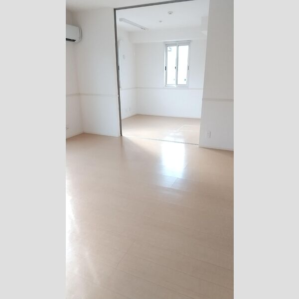 その他 (LDK　洋室)