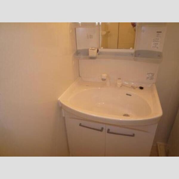 その他 (洗髪洗面化粧台)