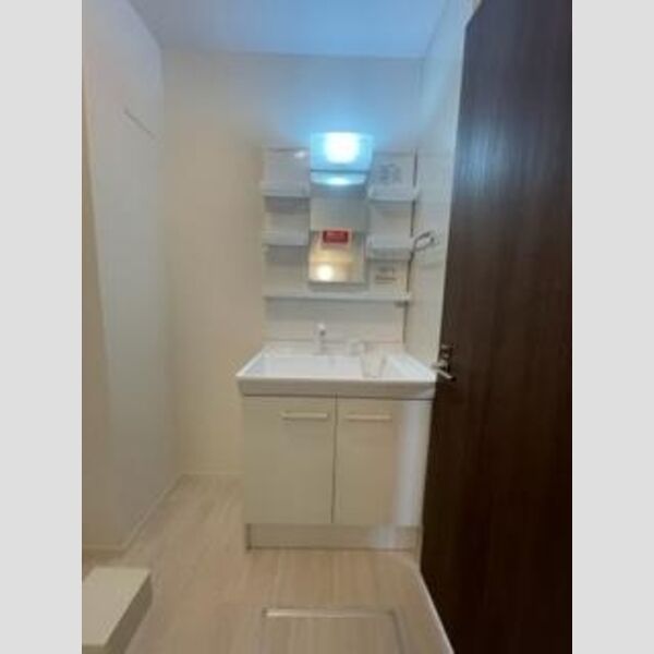 洗面所 (洗髪洗面化粧台)