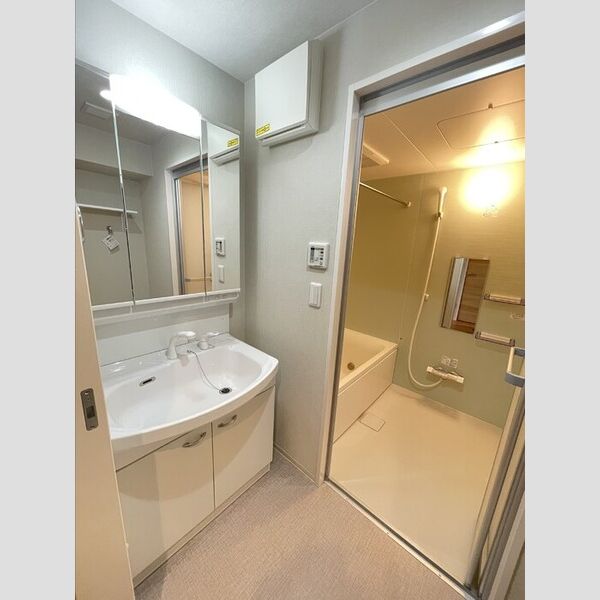 洗面所 (洗面所)