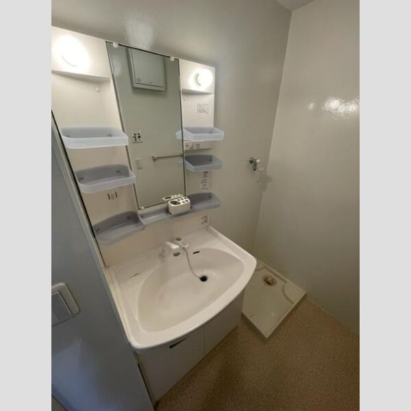 洗面所 (洗面所)