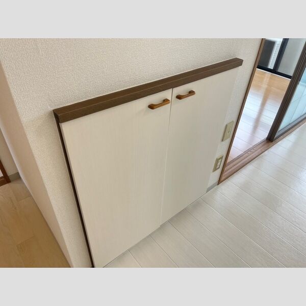 その他 (シューズボックス)
