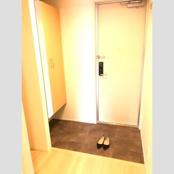 玄関 (玄関(シューズボックス))