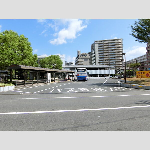 現地周辺 (バスターミナル)