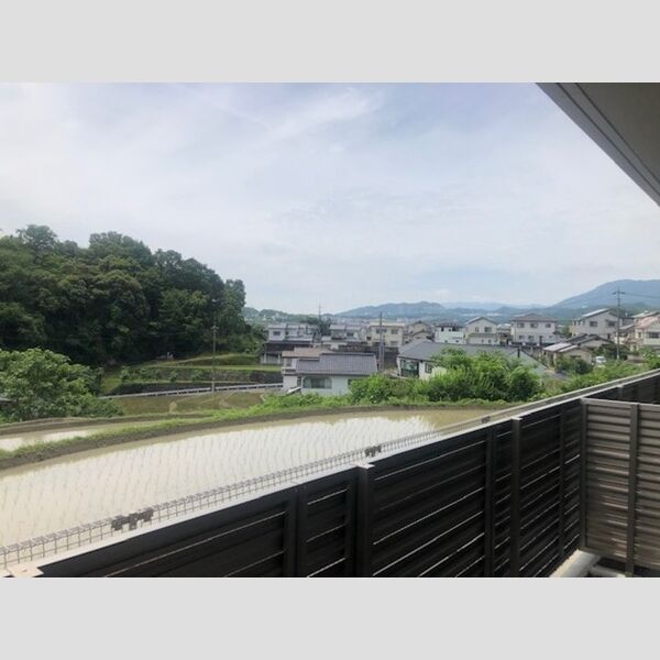 現地周辺 (眺望)