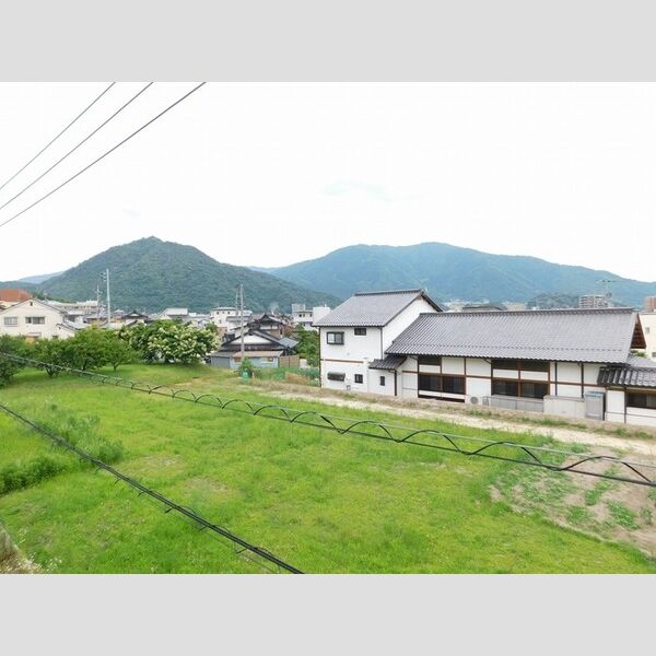現地周辺 (緑豊かな田園風景です!!)