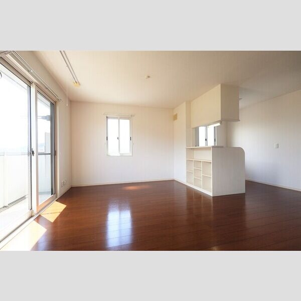 居室・リビング (LDK11.5帖(エアコン・室内物干し付き))