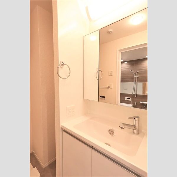 洗面所 (洗髪洗面化粧台)