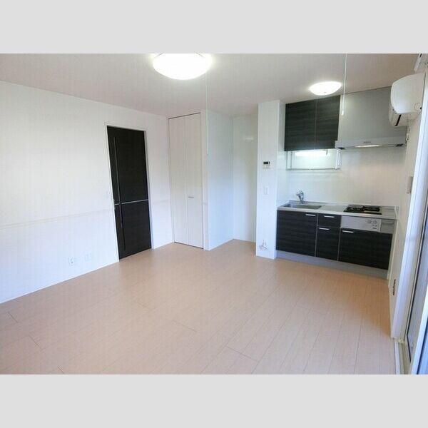 その他 (LDK8,5帖(エアコン・室内物干し付き))