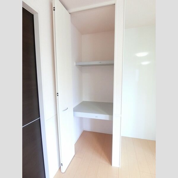 その他 (物入(LDK))