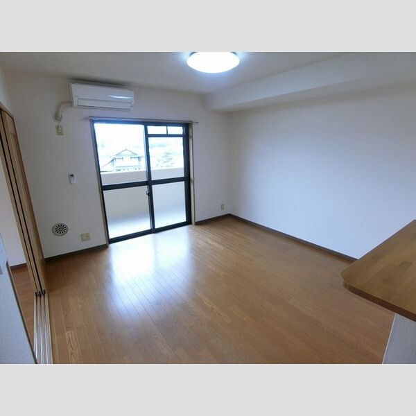 その他 (LDK12帖(エアコン付き))