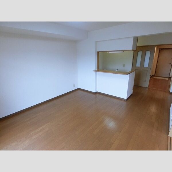 その他 (LDK12帖(エアコン付き))