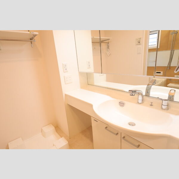 洗面所 (洗髪洗面化粧台・室内洗濯機置き場)