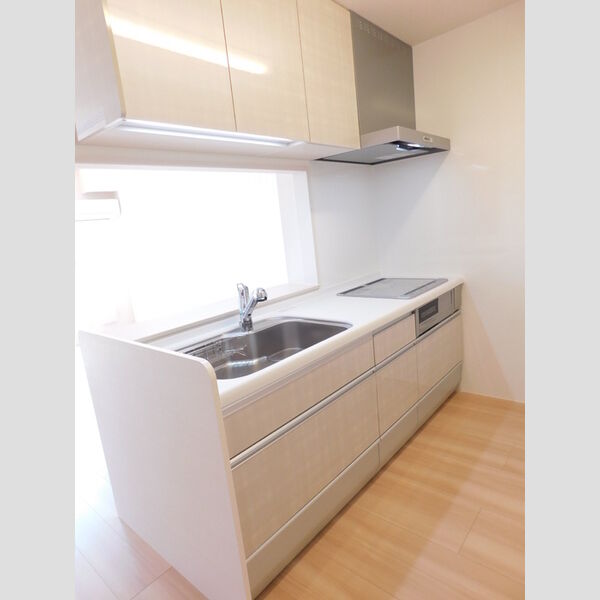 キッチン (204:システムキッチン)