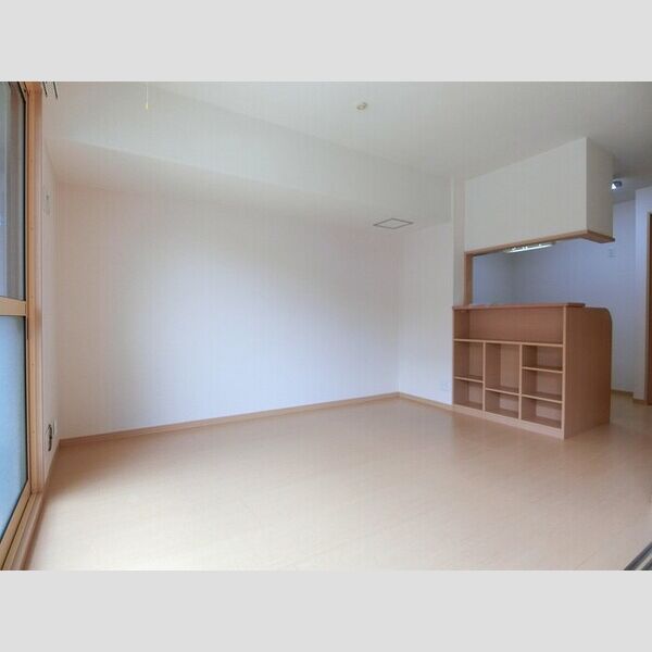 その他 (DK9,5帖(室内物干し付き))