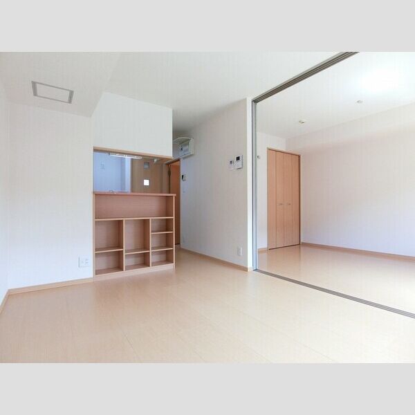 その他 (DK9,5帖(室内物干し付き))