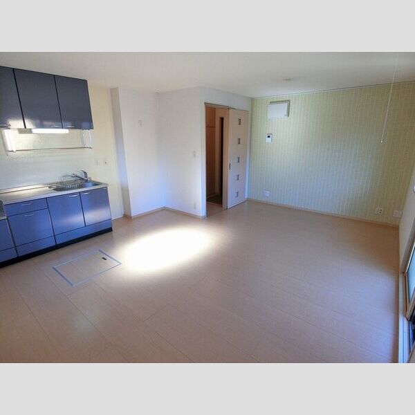 その他 (LDK13,5帖(室内物干し付き))