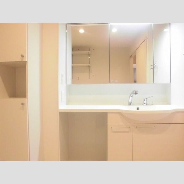 洗面所 (203号室:洗面所)