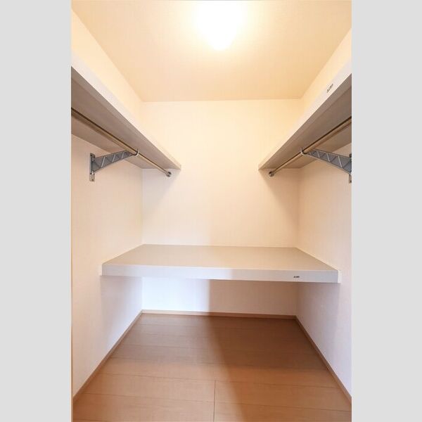 収納 (ウォークインクローゼット(北洋室))