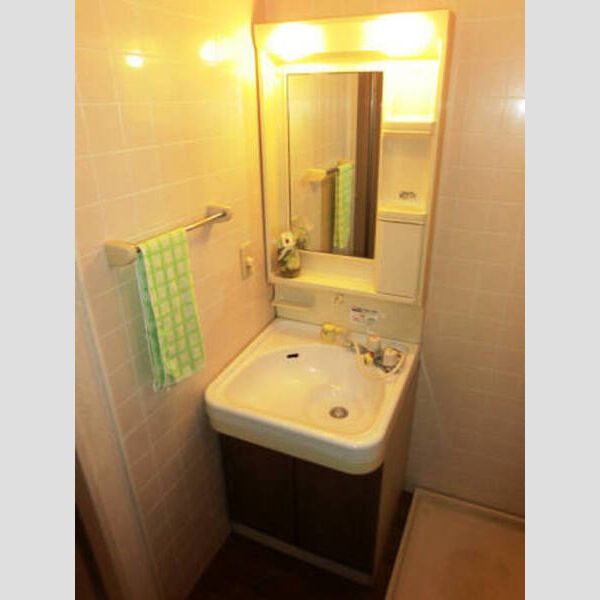 洗面所 (C棟201 洗面台)