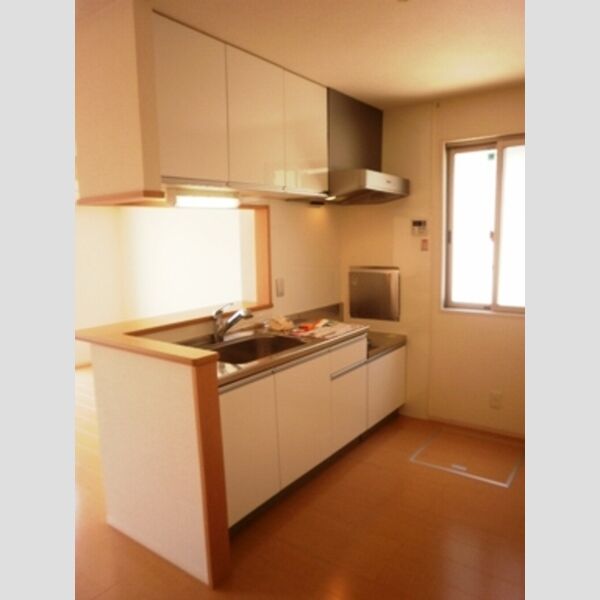 キッチン (B棟101:キッチン(段落ち))