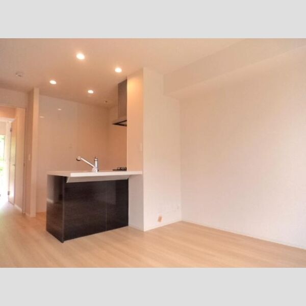 居室・リビング (DK)