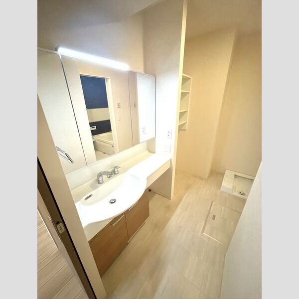 洗面所 (洗髪洗面化粧台・室内洗濯機置場)