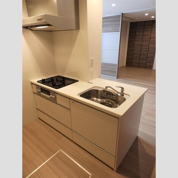 キッチン (ペニンシュラ　人工大理石ワークトップ)