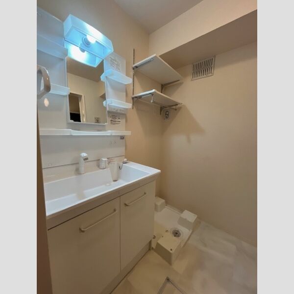 洗面所 (洗髪洗面化粧台・室内洗濯機置場)