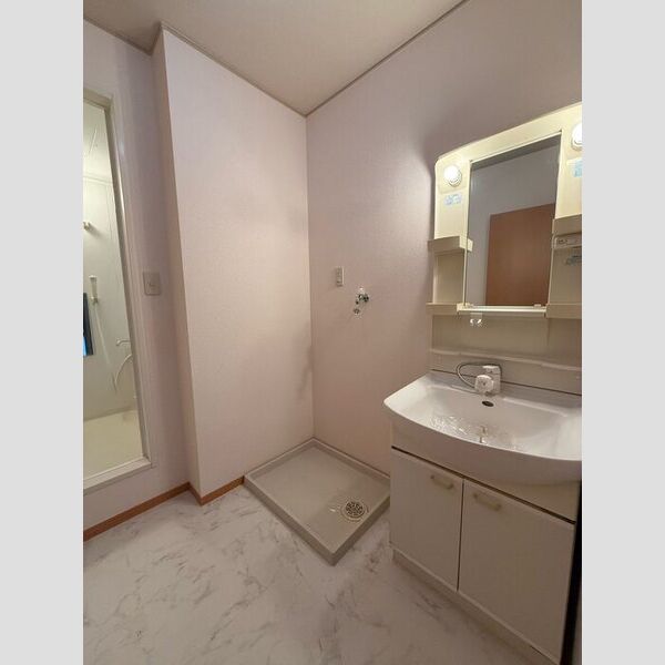 洗面所 (洗髪洗面化粧台・室内洗濯機置場)