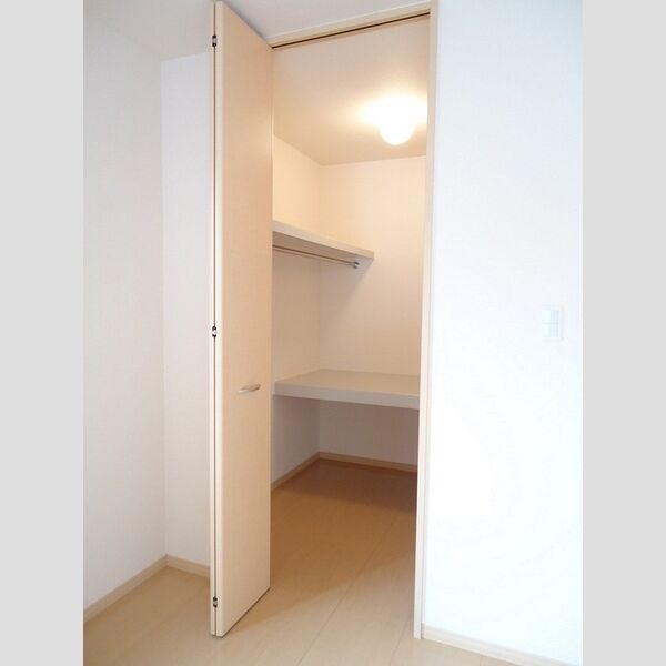 収納 (ウォークインクローゼット(北側洋室))