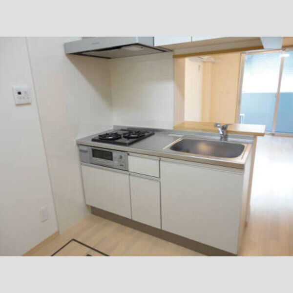 キッチン (102 対面キッチン)