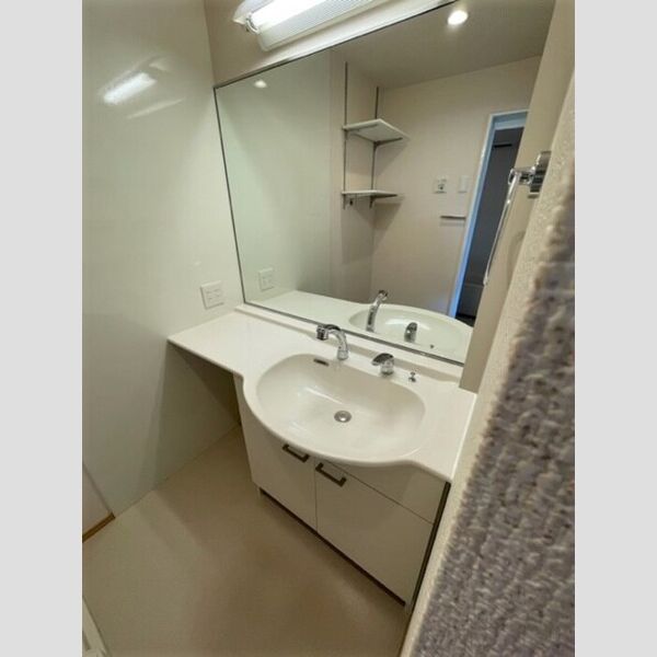 洗面所 (洗髪洗面化粧台)