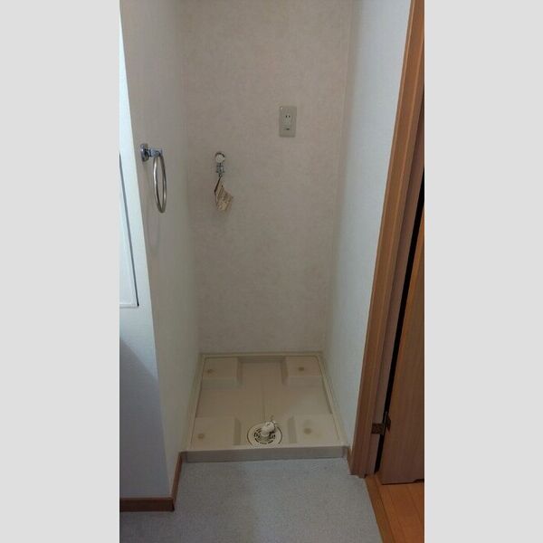 洗面所 (室内洗濯機置場)