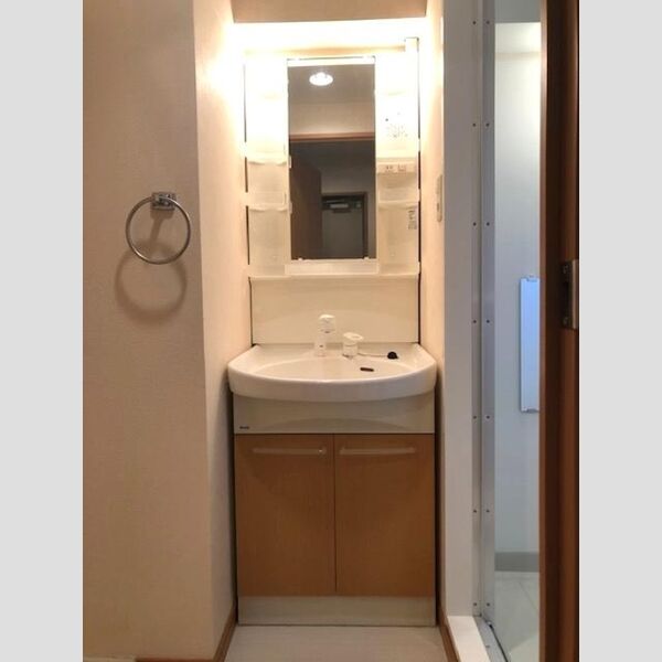 洗面所 (洗髪洗面化粧台)