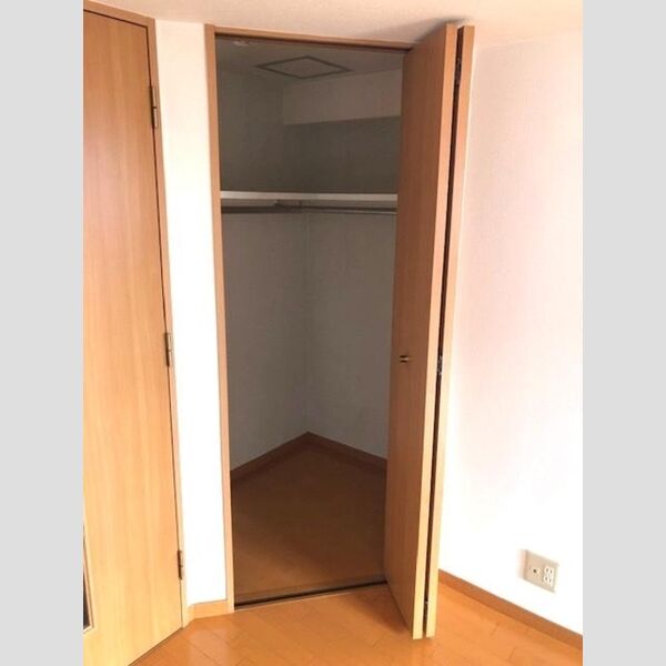 収納 (ウォークインクローゼット(洋室))