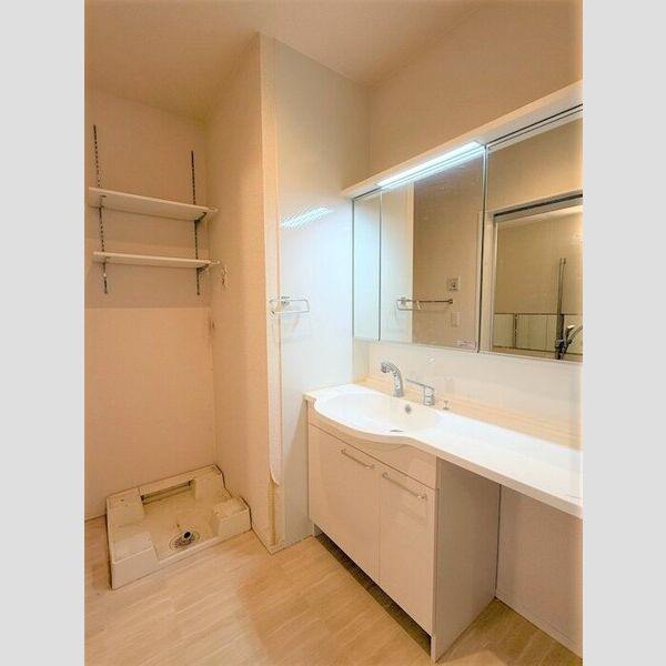洗面所 (洗髪洗面化粧台・室内洗濯機置場)