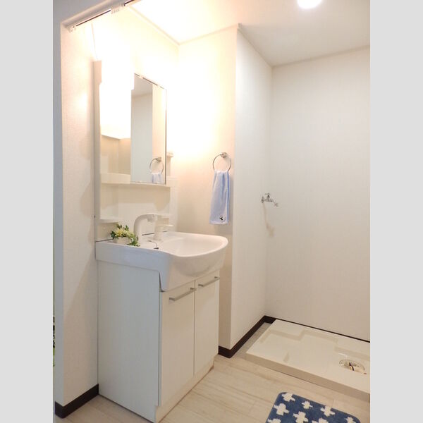 洗面所 (A102:洗髪洗面化粧台)