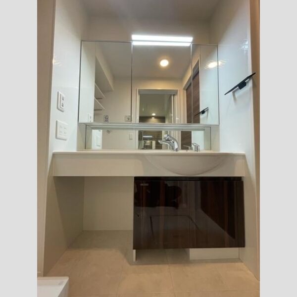 洗面所 (洗髪洗面化粧台)