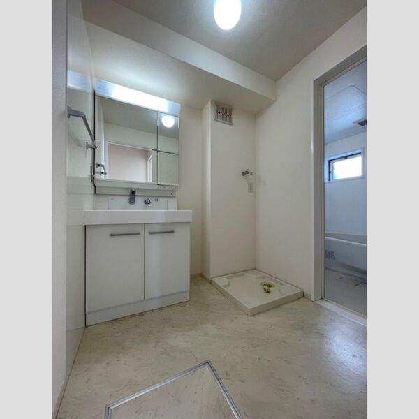 洗面所 (洗面室)