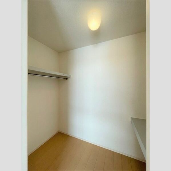 収納 (ウォークインクローゼット(洋室))