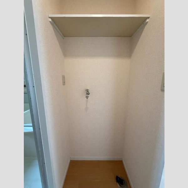 洗面所 (室内洗濯機置き場)