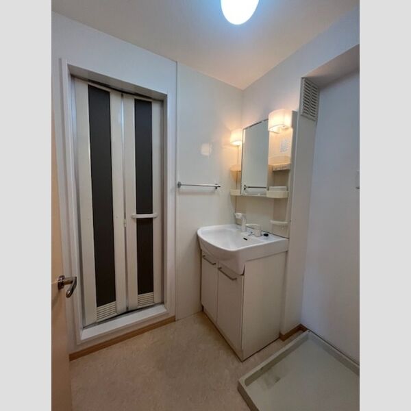 洗面所 (洗髪洗面化粧台・室内洗濯機置場)