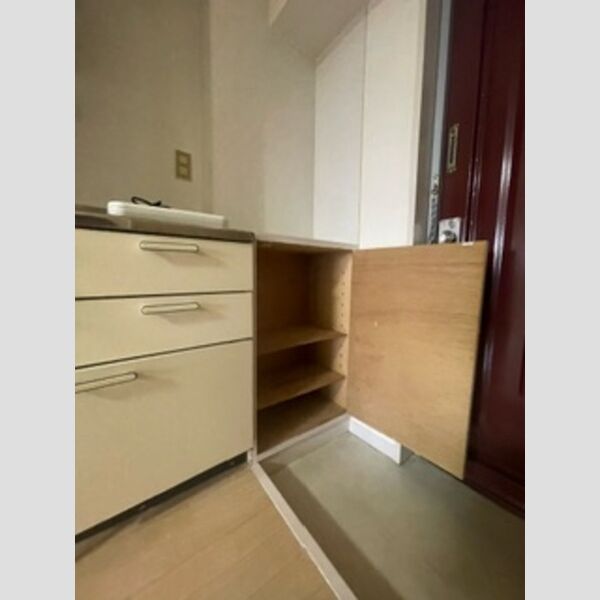 玄関 (シューズボックス)