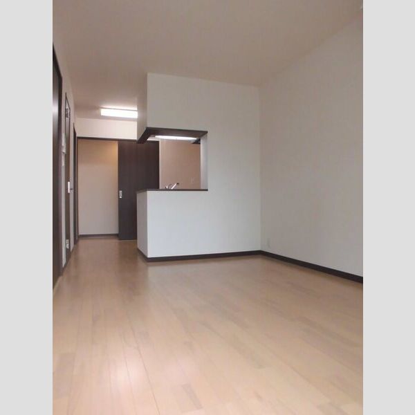 居室・リビング (303LDK)