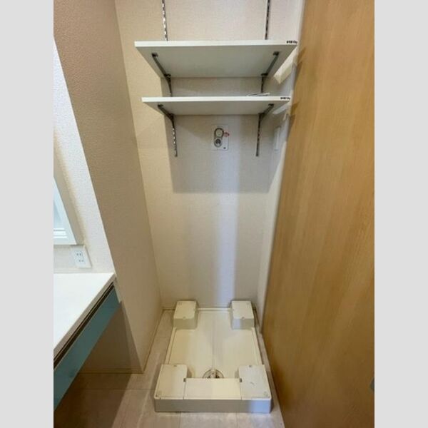 洗面所 (室内洗濯機置場)