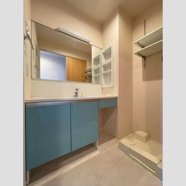 洗面所 (洗髪洗面化粧台)